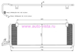    Jeep Grand Cherokee 1996 OE55036595